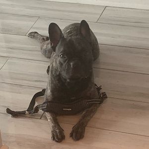 Meet your Posher, Guy